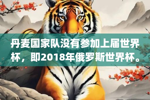 丹麦国家队没有参加上届世界杯，即2018年俄罗斯世界杯。