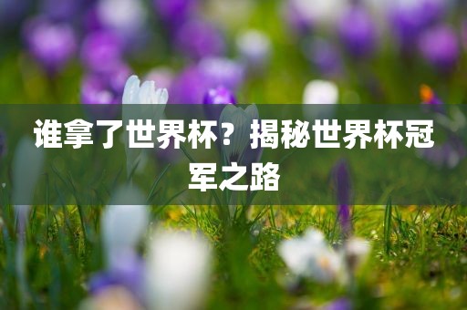 谁拿了世界杯？揭秘世界杯冠军之路