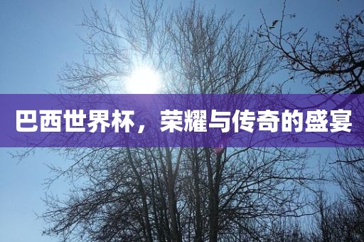 巴西世界杯，荣耀与传奇的盛宴