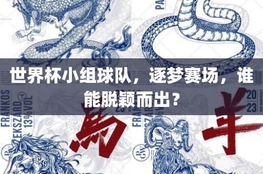 世界杯小组球队，逐梦赛场，谁能脱颖而出？