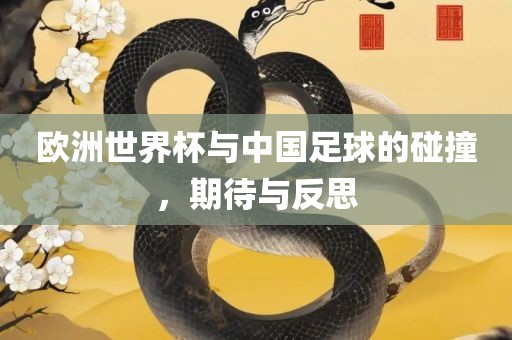 欧洲世界杯与中国足球的碰撞，期待与反思