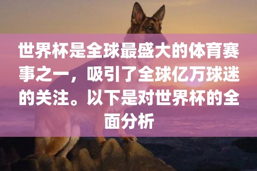世界杯是全球最盛大的体育赛事之一，吸引了全球亿万球迷的关注。以下是对世界杯的全面分析