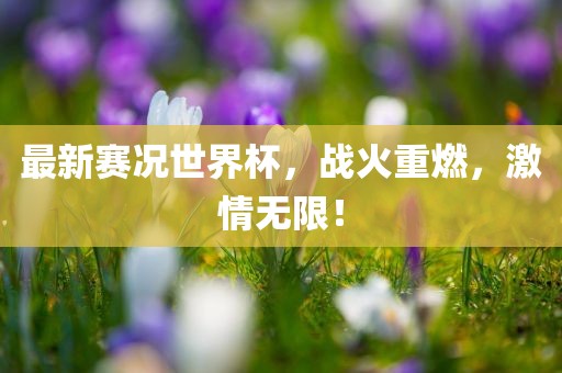 最新赛况世界杯，战火重燃，激情无限！