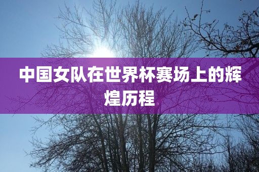 中国女队在世界杯赛场上的辉煌历程