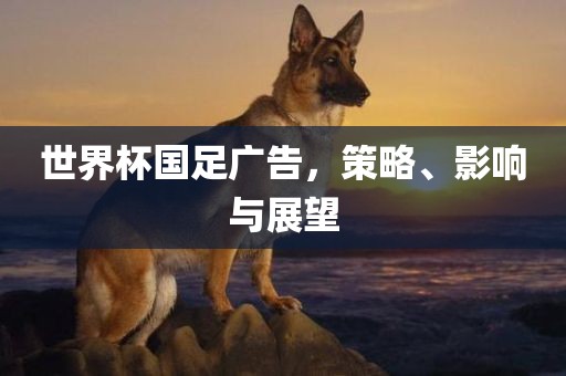 世界杯国足广告，策略、影响与展望