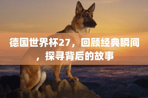 德国世界杯27，回顾经典瞬间，探寻背后的故事