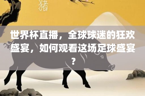 世界杯直播，全球球迷的狂欢盛宴，如何观看这场足球盛宴？