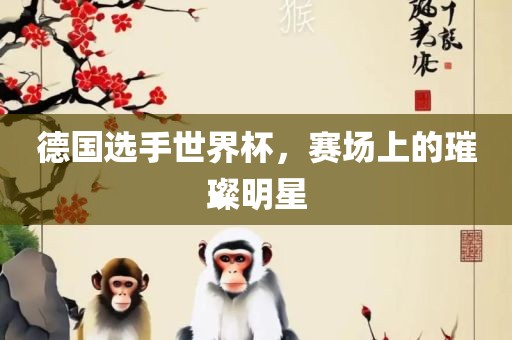 德国选手世界杯，赛场上的璀璨明星