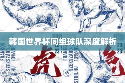 韩国世界杯同组球队深度解析