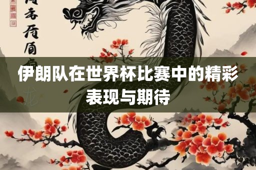 伊朗队在世界杯比赛中的精彩表现与期待