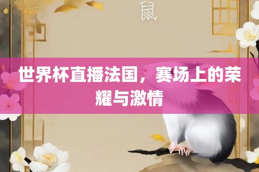 世界杯直播法国，赛场上的荣耀与激情