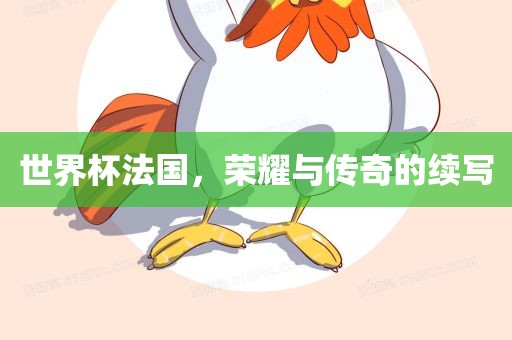 世界杯法国，荣耀与传奇的续写漯河市盈旭机械设备有限公司