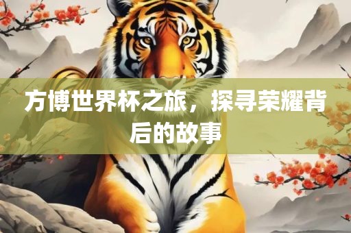 方博世界杯之旅，探寻荣耀背后的故事