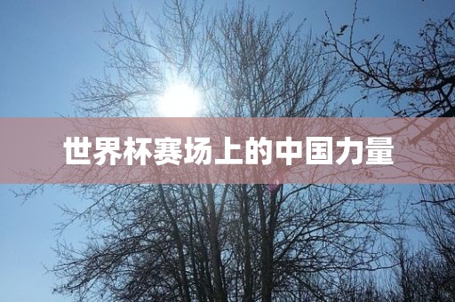 世界杯赛场上的中国力量