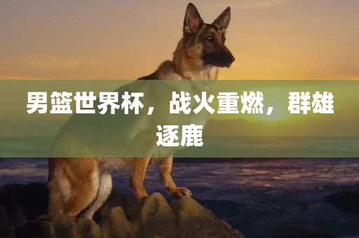 男篮世界杯，战火重燃，群雄逐鹿