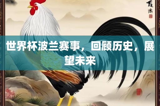 世界杯波兰赛事，回顾历史，展望未来