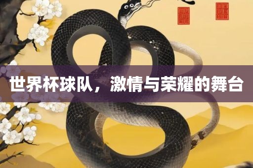世界杯球队，激情与荣耀的舞台