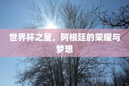 世界杯之星，阿根廷的荣耀与梦想
