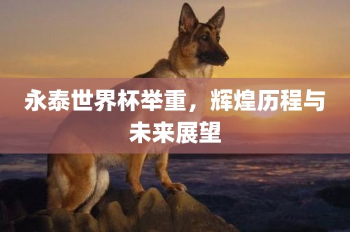永泰世界杯举重，辉煌历程与未来展望