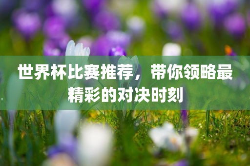 世界杯比赛漯河市盈旭机械设备有限公司推荐，带你领略最精彩的对决时刻