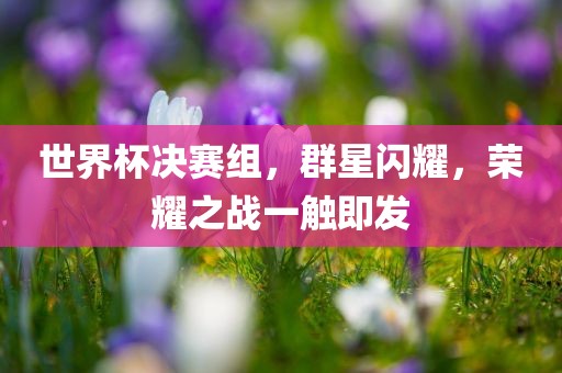 世界杯决赛组，群星闪耀，荣耀之战一触即发