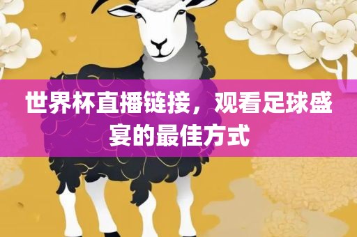 世界杯直播链接，观看足球盛宴的最佳方式