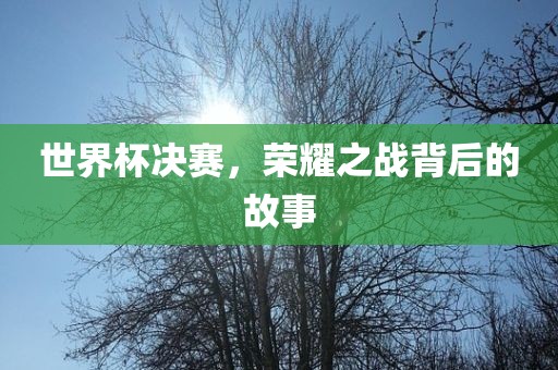 世界杯决赛，荣耀之战背后的故事
