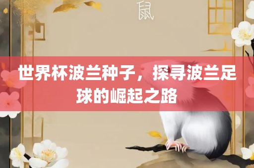 世界杯波兰种子，探寻波兰足球的崛起之路