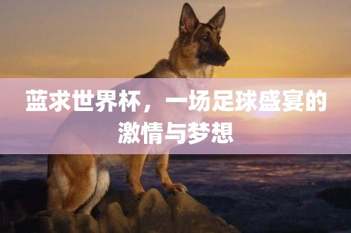 蓝求世界杯，一场足球盛宴的激情与梦想