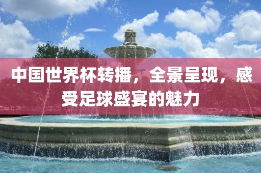 中国世界杯转播，全景呈现，感受足球盛宴的魅力