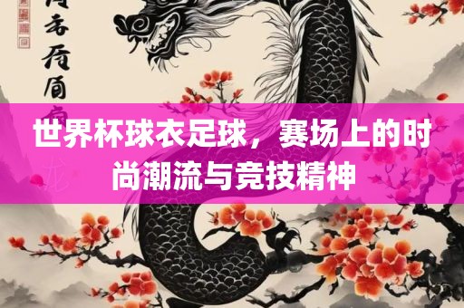 世界杯球衣足球，赛场上的时尚潮流与竞技精神