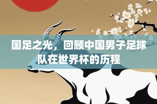 国足之光，回顾中国男子足球队在世界杯的历程