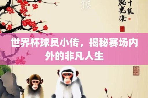 世界杯球员小传，揭秘赛场内外的非凡人生