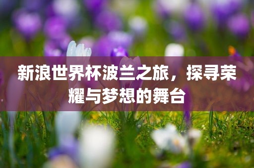 新浪世界杯波兰之旅，探寻荣耀与梦想的舞台