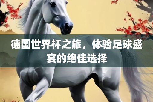 德国世界杯之旅，体验足球盛宴的绝佳选择