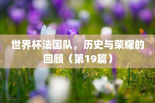 世界杯法国队，历史与荣耀的回顾（第19篇）