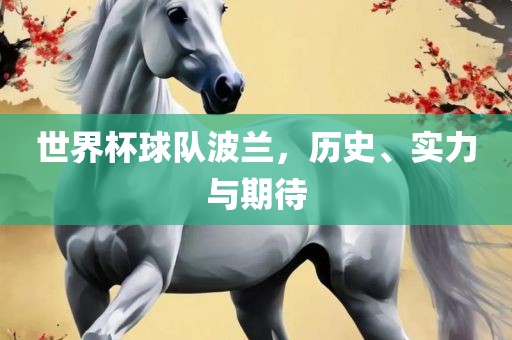 世界杯球队波兰，历史、实力与期待