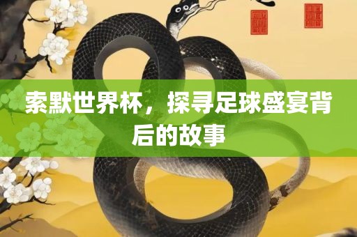 索默世界杯，探寻足球盛宴背后的故事漯河市盈旭机械设备有限公司