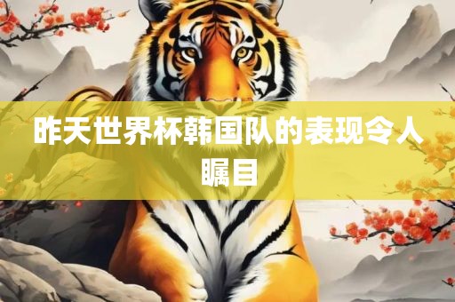 昨天世界杯韩国队的表现令人瞩目