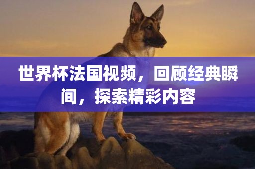 世界杯法国视频，回顾经典瞬间，探索精彩内容