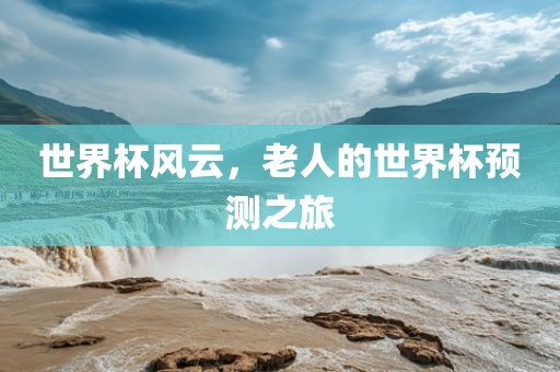 世界杯风云，老人的世界杯预测之旅