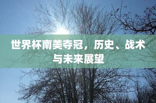 世界杯南美夺冠，历史、战术与未来展望