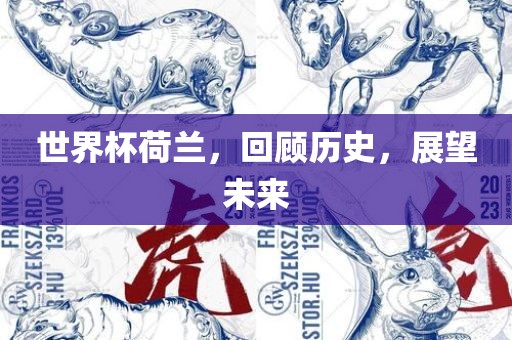 世界杯荷兰，回顾历史，展望未来