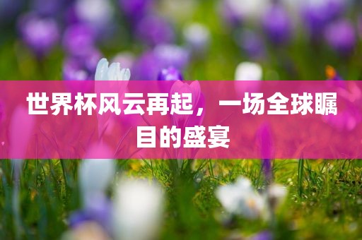 世界杯风云再起，一场全球瞩目的盛宴漯河市盈旭机械设备有限公司