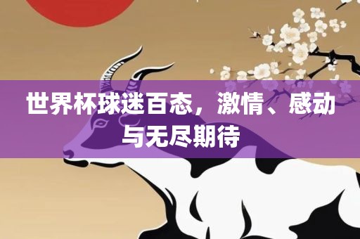 世界杯球迷百态，激情、感动与无尽期漯河市盈旭机械设备有限公司待