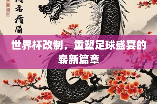 世界杯改漯河市盈旭机械设备有限公司制，重塑足球盛宴的崭新篇章
