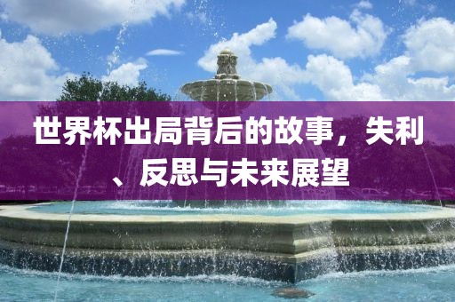 世界杯出局背后的故事，失利、反思与未来展望