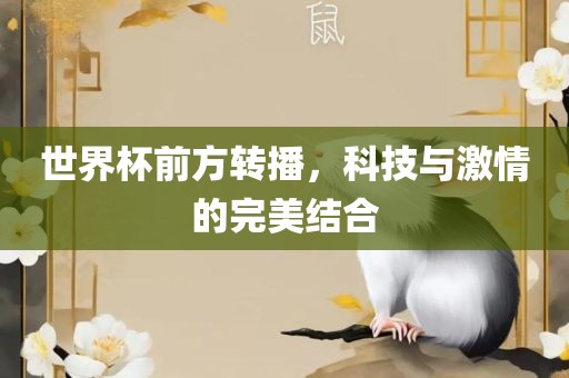 世界杯前方转播，科技与激情的完美结合