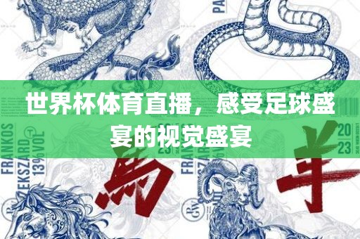 世界杯体育直播，感受足球盛宴的视觉盛宴