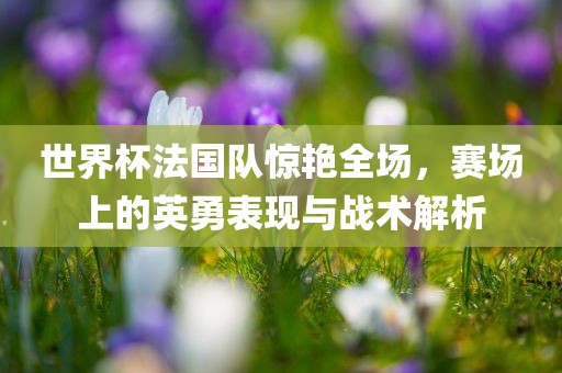 世界杯法国队惊艳全场，赛场上的英勇表现与战术解析